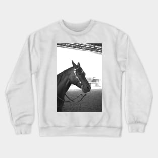 Beautiful horse Crewneck Sweatshirt